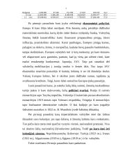 I pasaulinio karo padariniai 4 puslapis
