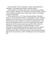 Spaustuvė ‘’Spindulys’’ 2 puslapis