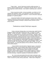 Fidelio Kastro valdymas 5 puslapis