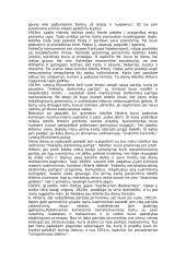 Adolfo Hitlerio istorija 2 puslapis