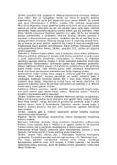 Adolfo Hitlerio istorija 4 puslapis