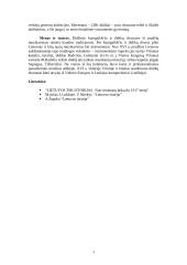 LDK dvaro ir didikų kultūra. Jos ypatumai 3 puslapis