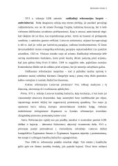 Reformacija ir Krikštas Europoje 4 puslapis