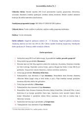 Verslo informatika MS Excel