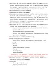 Verslo informatika MS Excel 2 puslapis