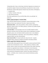 Viešųjų pasisakymų rūšys ir jų stilius 2 puslapis