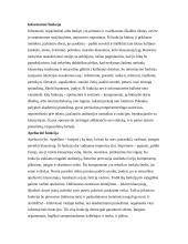 Viešųjų pasisakymų rūšys ir jų stilius 3 puslapis