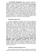 Klaipėda-Lietuvos uostas 2 puslapis
