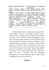 Juozo Erlicko “Knygos” kûrybos kelias 12 puslapis