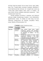 Juozo Erlicko “Knygos” kûrybos kelias 5 puslapis