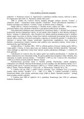 V. Kudirkos gyvenimas ir veikla 3 puslapis