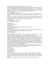 Vienatvės ėjimo į mirtį motyvas Algimanto Mackaus kūryboje 3 puslapis