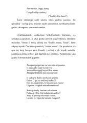  Saulės įvaizdis Salomėjos Nėries kūryboje   6 puslapis