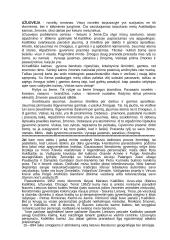 Užuovėja - novelių romanas