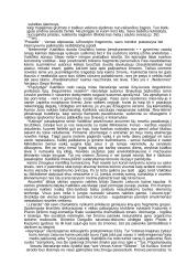 Užuovėja - novelių romanas 3 puslapis