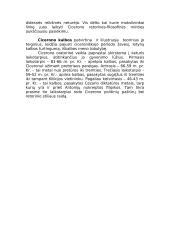 Ciceronas ir jo valdymas 8 puslapis