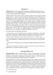 Apskaita ir finansai 12 puslapis