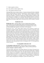 Apskaita ir finansai 13 puslapis