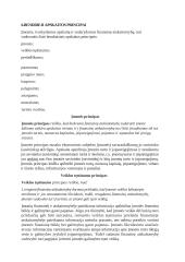 Apskaita ir finansai 19 puslapis