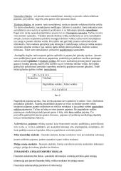 Apskaita ir finansai 4 puslapis