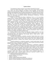 Reklama ir jos ypatybės 18 puslapis