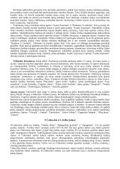 F.Listas ir jo muzika 5 puslapis