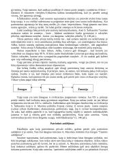 Patriotizmas ir patriotinis auklėjimas 5 puslapis