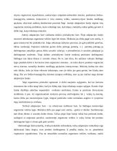 Adaptacija mokykloje 2 puslapis