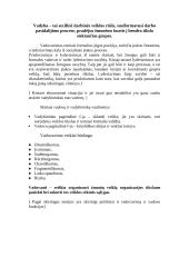 Vadovavimo veiklos ypatybės