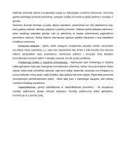 Komunikacijos procesas 2 puslapis