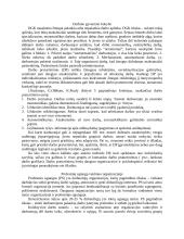 Darbinio gyvenimo kokybė