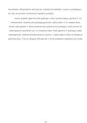 Informacinių sistemų panaudojimas versle 11 puslapis