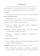 Informacinių sistemų panaudojimas versle 12 puslapis