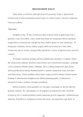 Informacinių sistemų panaudojimas versle 19 puslapis