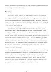 Informacinių sistemų panaudojimas versle 20 puslapis