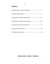 Vadovo funkcijos bei veikla organizacijoje 2 puslapis