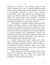 Vadovo funkcijos bei veikla organizacijoje 14 puslapis