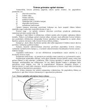 Automobilio apšvietimo sistemos 2 puslapis