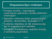 Žmogiškųjų santykių teorija: Howthorne eksperimentai 15 puslapis