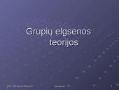 Grupių elgsenos teorijos