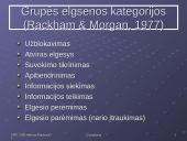 Grupių elgsenos teorijos 11 puslapis