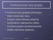 Grupių elgsenos teorijos 12 puslapis