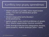 Grupių elgsenos teorijos 14 puslapis