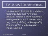 Grupių elgsenos teorijos 15 puslapis