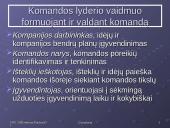 Grupių elgsenos teorijos 17 puslapis