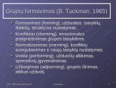 Grupių elgsenos teorijos 6 puslapis