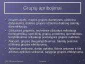 Grupių elgsenos teorijos 9 puslapis