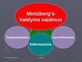 Integratyvaus ir profesionalaus valdymo teorijos 12 puslapis