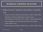 Integratyvaus ir profesionalaus valdymo teorijos 19 puslapis