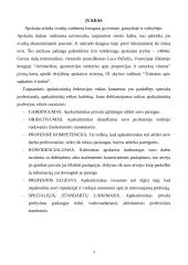 Bendrieji apskaitos principai bei nuostatos 3 puslapis